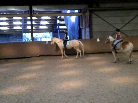 Op Dazzle rijden!♥