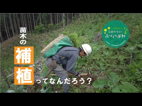 苗木の補植ってなんだろう？