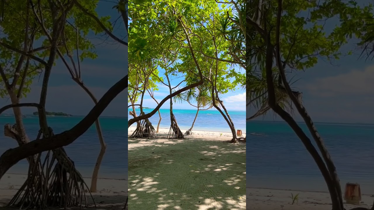 YouTube Short thumbnail