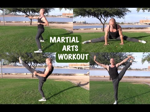 MARTIAL ARTS FITNESS TRAINING | 2018