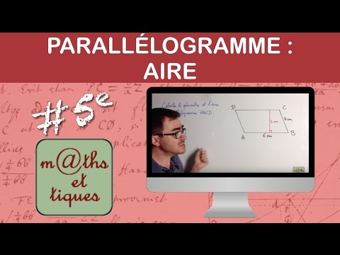 Calculer l'aire d'un parallélogramme - Cinquième