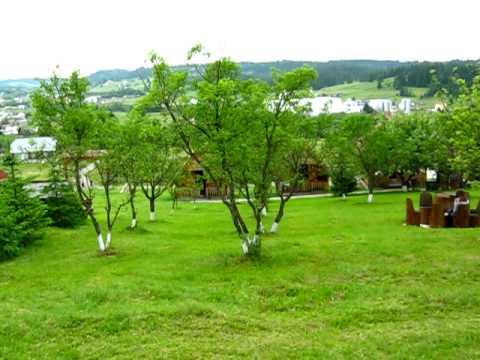 Pensiunea Poiana - Poiana Negri (SV)