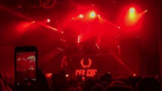 Ces Cru &quot;Tidal Wavy&quot; Live