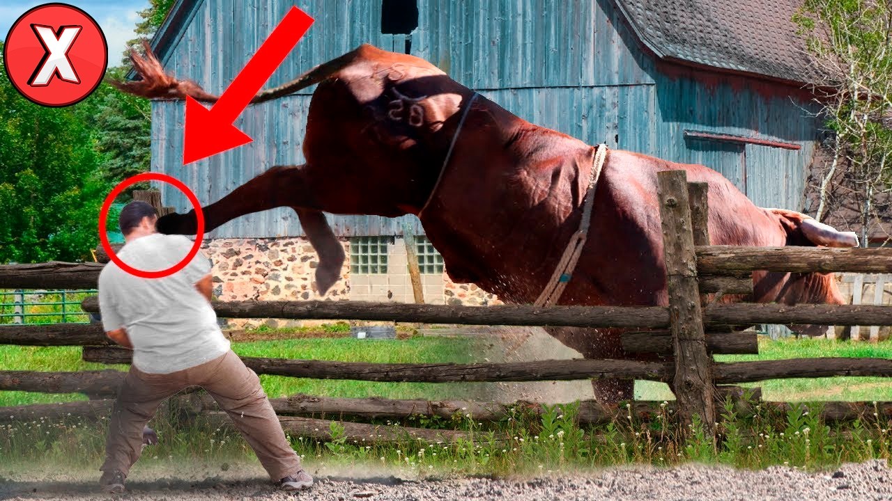 13 Pessoas que FORAM PARA O CÉU de FORMAS POUCO INTELIGENTES-Vencedores do PRÊMIO DARWIN (Parte 2)