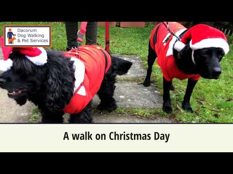 Dacorum Dog Walking & Pet Services video.