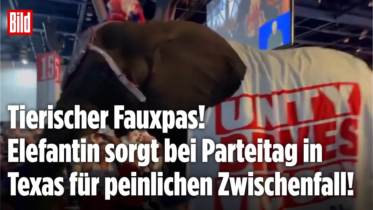 PINKEL-PANNE IN TEXAS: Elefantin sorgt beim Republikaner-Parteitag für peinlichen Zwischenfall!