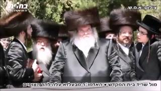 מול מקום המקדש • האדמו"ר מבעלזא בהר הצופים, חוה"מ סוכות תשע"ו