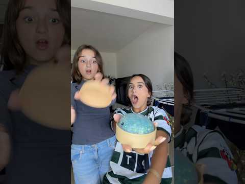 MA PETITE SOZUR LA VOLEUSE !!! #shortvideo #humoristefrancais