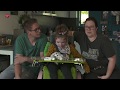 Gehandicapte Mirthe (8) fulltime thuis in coronatijd: Zware maar mooie tijd