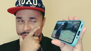 Meu apoio a Ivan borgati... mandou o povo para o quinto dos infernos e procurar um trabalho 