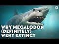 Why Megalodon (Definitely) Went Extinct