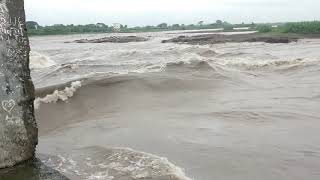 preview picture of video 'NANDUR MADHYMESHWAR DAM.. ALL 5 GATE ARE OPEN'