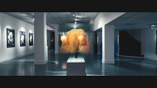 Art Gallery Opening  Cinematic Short Video  A7III
