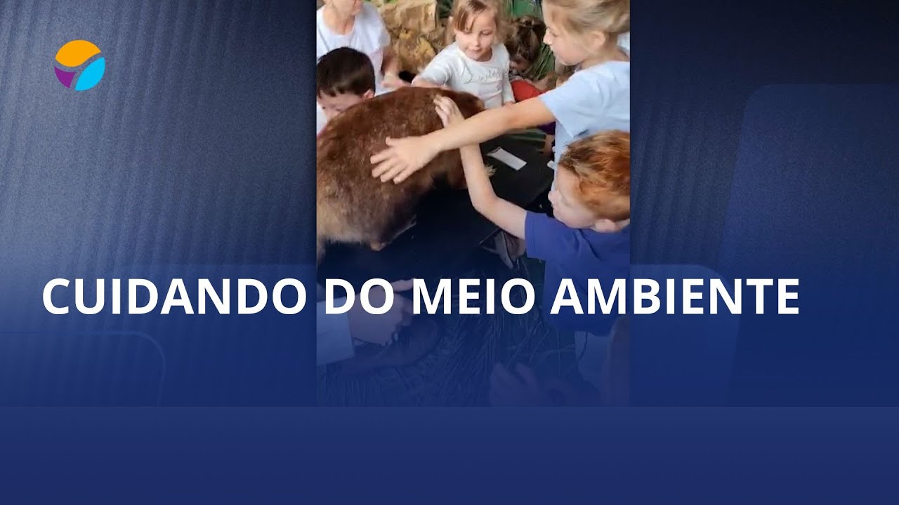 Exposição “Amostra da Natureza” encanta em Ibirama