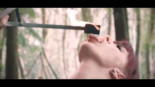 Harley Fox - Tinariwen Solaris