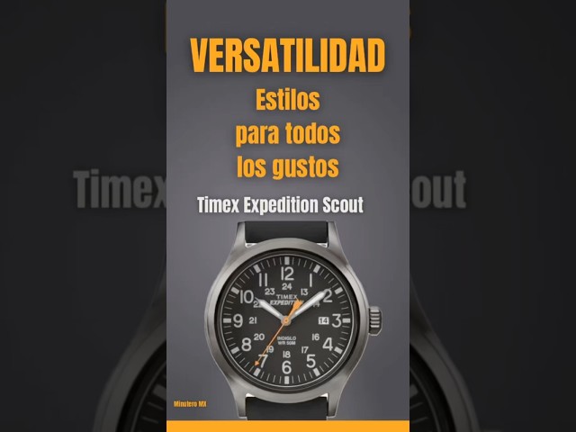 Vídeo relacionado con Timex Expédition Scout, Reloj análogico de cuarzo para Hombre, Gris (Green/Gray)