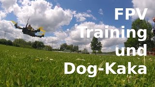 FPV Copter Training und Dog-Kaka