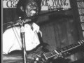 Hound Dog Taylor-Sitting here alone 