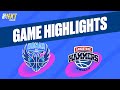 Donar Groningen vs. Landstede Hammers - Game Highlights