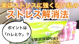 【新学期を乗り切りたい！】実はストレスに強くない私のストレス解消法！