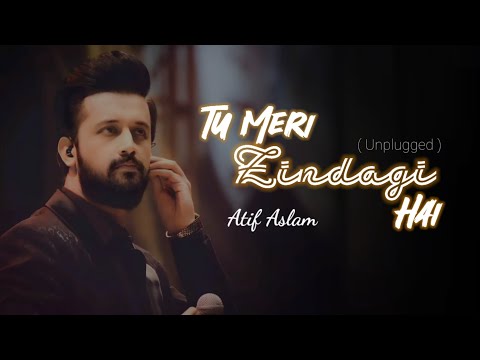 Tu Meri Zindagi hai | Aashiqui | Atif Aslam Ai Cover