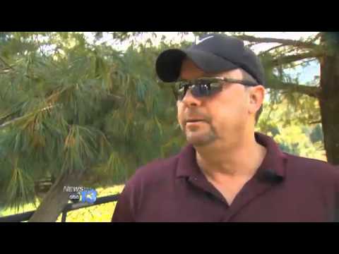 Fairview Barn Fire Investigation