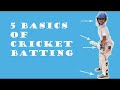 Cricket Batting Basics 5 Basics Of Cricket Batting For Beginners Cricket Coaching For Kids