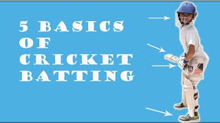 Cricket batting basics  5 basics of cricket battin