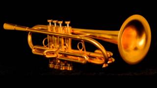 Bachianas Brasileiras No . 5 - Hector Villalobos - Markus Stockhausen