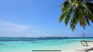 Thank You Jimmy Buffett🙏🏼🌴