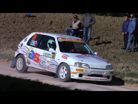 RALLY DELLE MARCHE 2019 SELVESTREL MICHELETTO PEUGEOT 106 RALLY