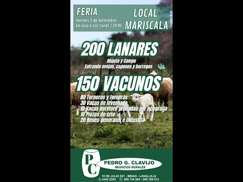 5/9/2025 Feria Mensual - Local Mariscala - Lavalleja - Pedro G. Clavijo