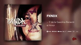 PXNDX       Y de la Gasolina Renació el Amor