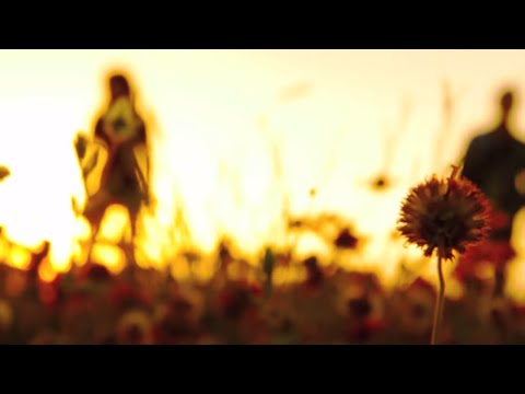 Moonlight Social - Heading South [OFFICIAL VIDEO]
