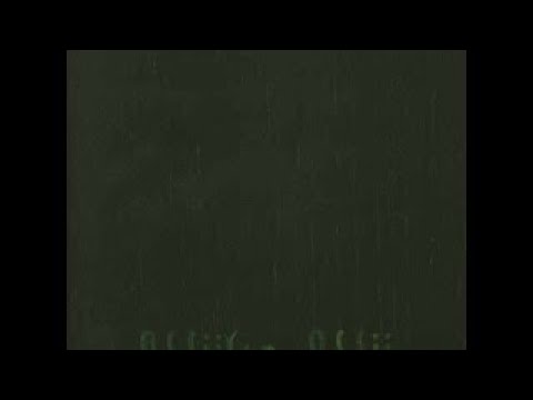 Wijlen Wij — Wijlen Wij (2007)