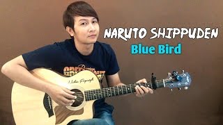 Download lagu (Ikimono Gakari) Blue Bird [Naruto Shippuden] - Nathan Fingerstyle | Guitar Cover OST Theme Song mp3