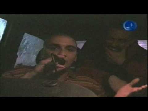 BoogieDown nr° 15 | Servizio The Next Diffusion