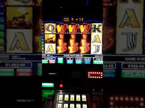 The Wild Life slot machine HUGE WIN BONUS!!! 3 LOCKED WILD REELS