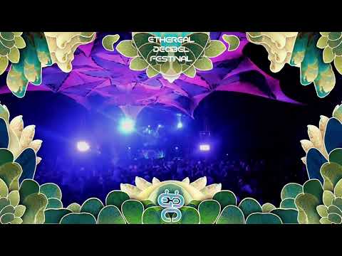 [Darkpsy / Hi-Tek] D.Rec - A Business Proposal (live caption @Ethereal Decibel Festival 2022)