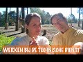 Hoe vervoer je een neushoorn? | DierenpraatTV