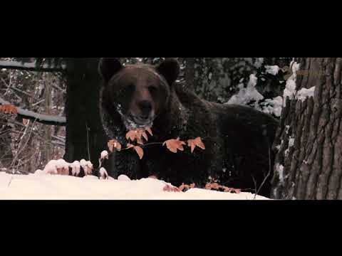 Medveles Tusnádfürdő Máté Bence élmények