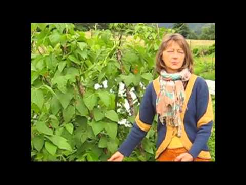 Jadwiga Łopata - O ucieczce z Matrixa