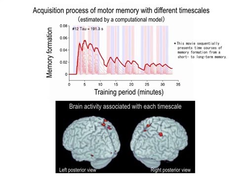 Acquisition process of motor memory with different timescales