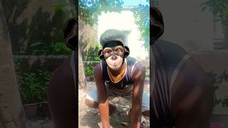 Download lagu cute corgi action๐๐๐ mp3 Download lagu cute corgi action๐๐๐ mp3