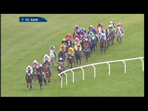 2013 Coral Cup - Cheltenham Festival