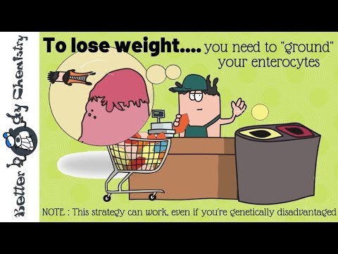 How to do intestinal remodelling without undergoing bariatric surgery