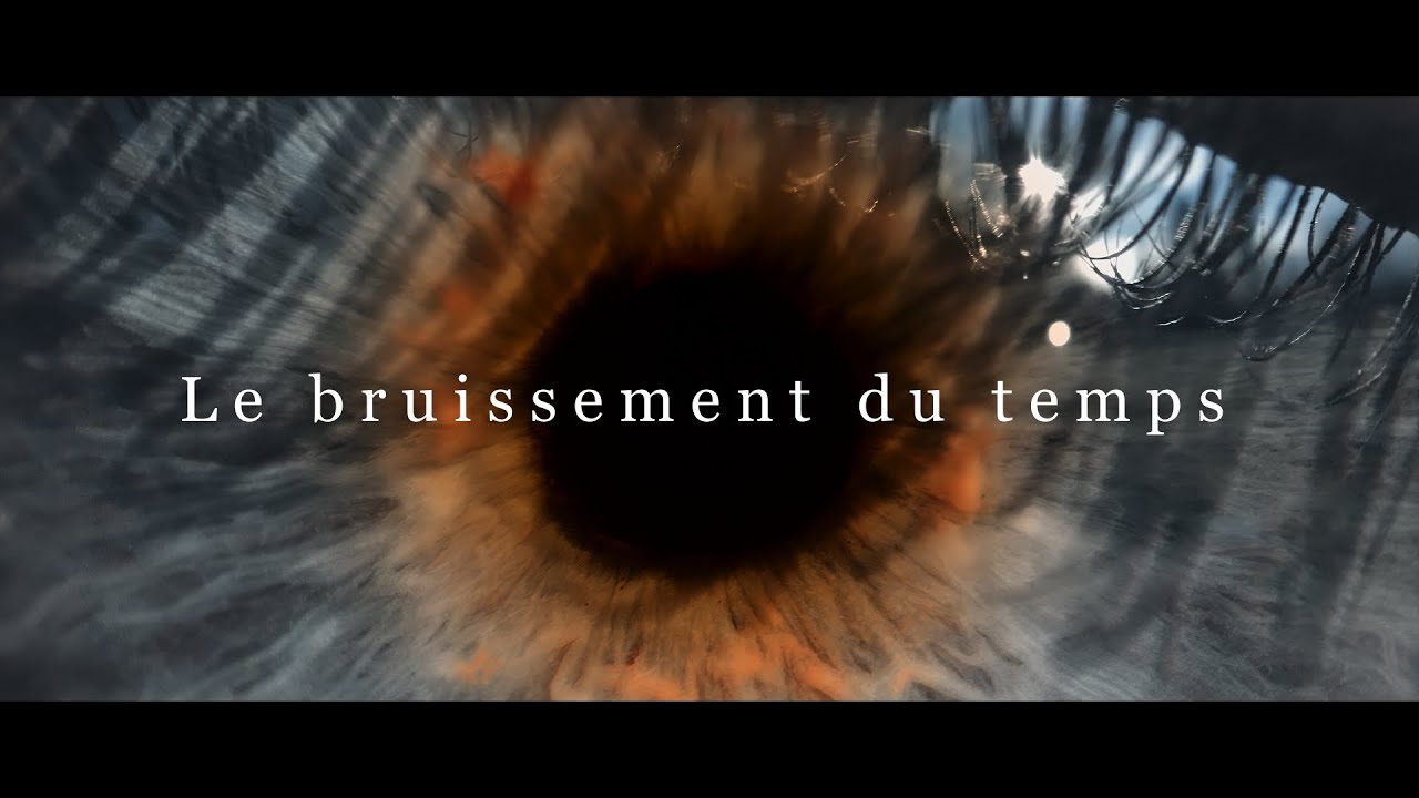 Hélène Dorion, MES FORÊTS - "Le bruissement du temps", court-métrage de Pierre-Luc Racine.