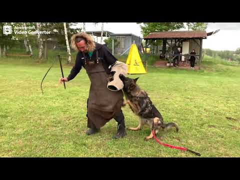 Wiper Mineo - Protection 13 months