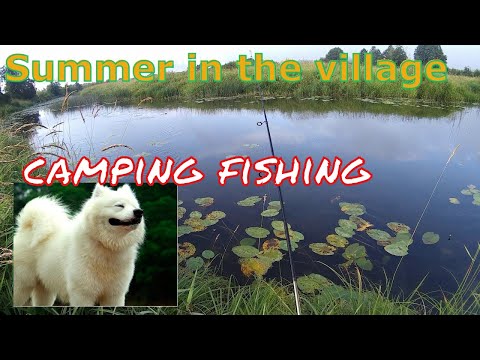 Рыбалка !  Лето в деревне ! Summer in the village ! fishing in Russia