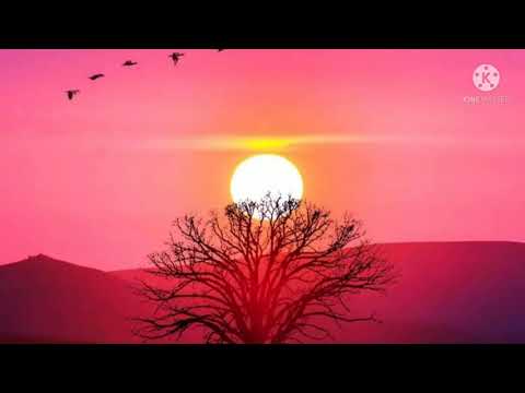 Nature beauty of god